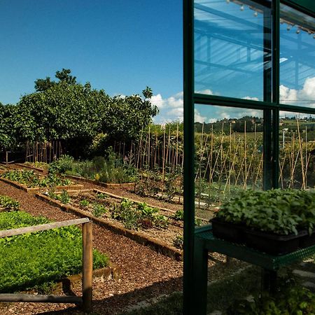 Coltivare Agrirelais La Morra Eksteriør billede
