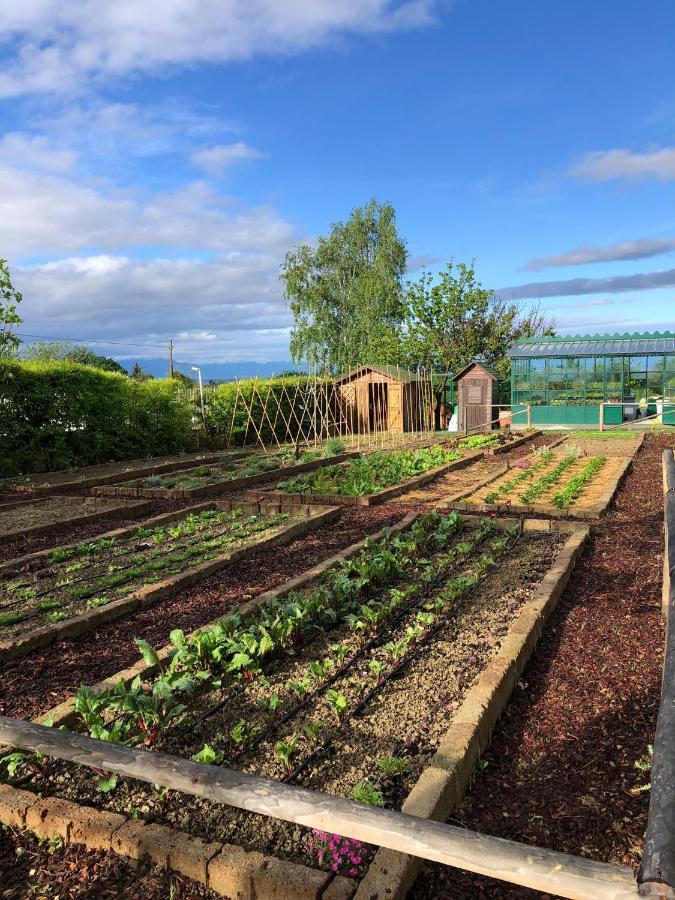 Coltivare Agrirelais La Morra Eksteriør billede
